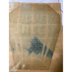 Vintage Sunland ? Silver Green Supreme Gasoline Clover Pump Globe Lens Decal Gas